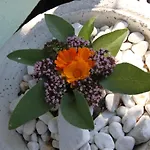 Haus Friedeck 拉姆绍达赫斯坦