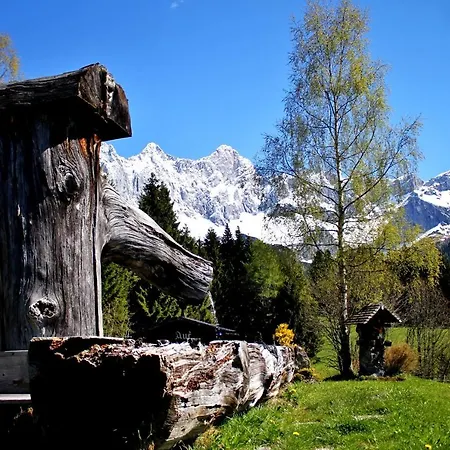 Haus Friedeck Готель типу 