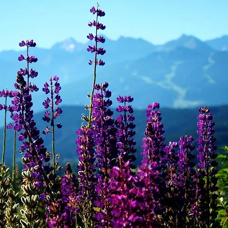 Haus Friedeck Рамзау-ам-Дахштайн