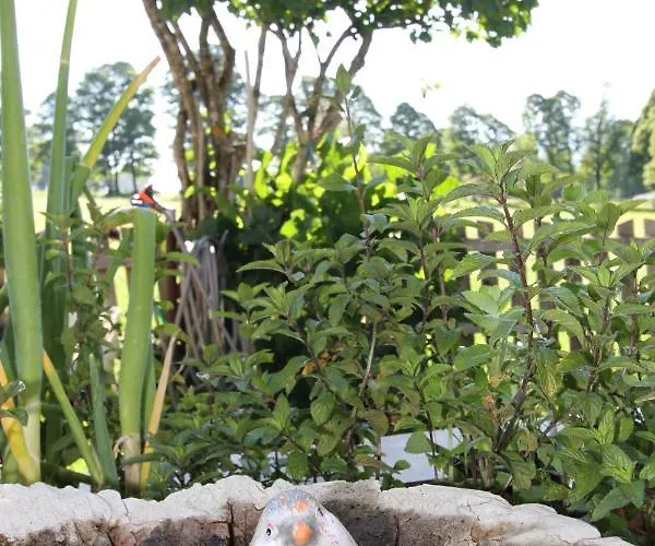 Haus Friedeck Ramsau am Dachstein