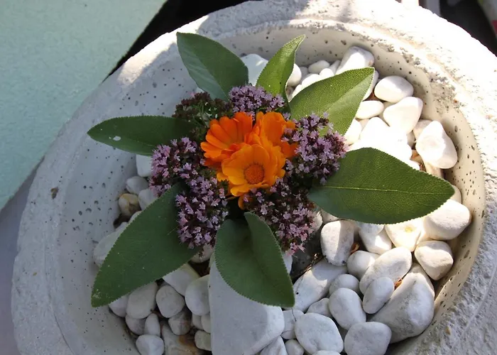 Haus Friedeck Рамзау