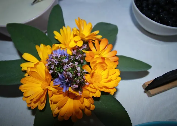 Haus Friedeck 3* Ramsau am Dachstein